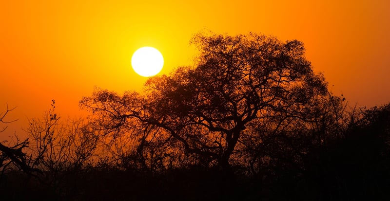 Kruger National Park